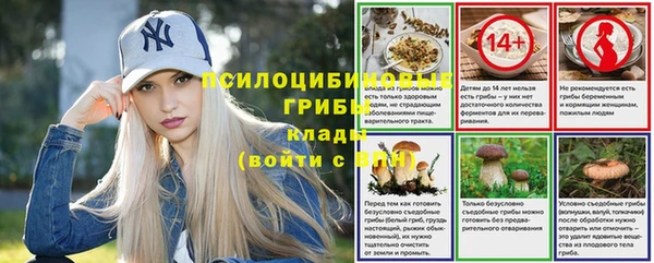 дмт Нефтегорск