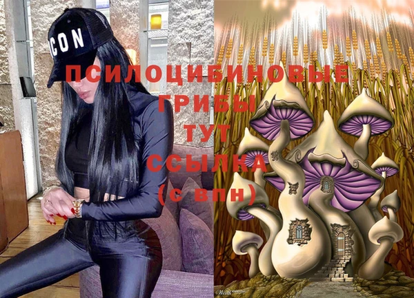 гидропоника Надым