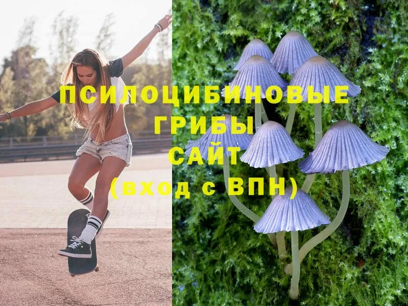 Галлюциногенные грибы MAGIC MUSHROOMS  сколько стоит  Каменка 