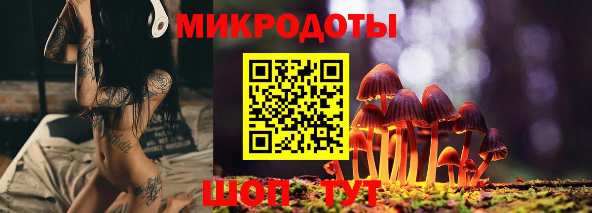 Псилоцибиновые грибы Psilocybine cubensis Каменка